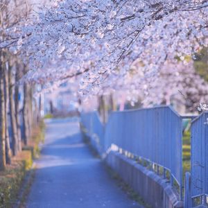 十月、君に出会えてよかった