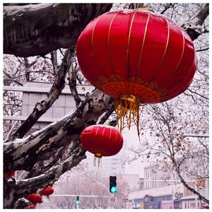 新年好(贝斯喜剧摇滚版)