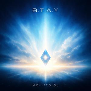 S.T.A.Y