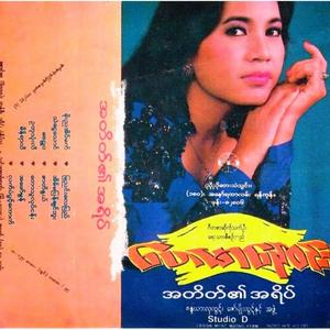 အိမ်မပြန်ချင်ဘူး