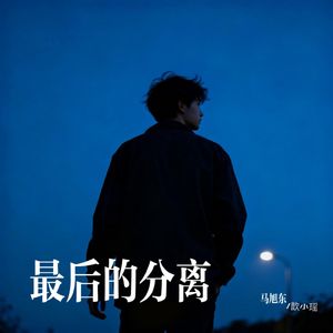 最后的分离（这最后一次的分离）