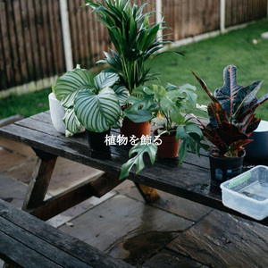 Successful Backdrops for Relax Hour