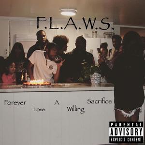 Flaws