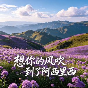 想你的风吹到了阿西里西（女声版）