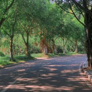 我们在一个风和日丽的下午相互道别