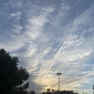 起风了 —买辣椒也用券(1)