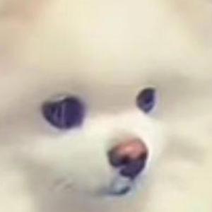 PUFFI