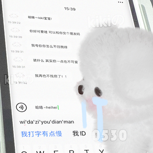 摆