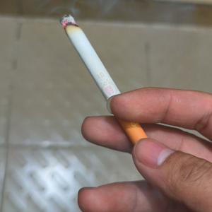 计划那一天从未到来