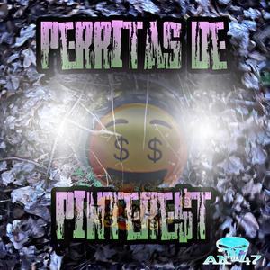 Perritas de Pinterest