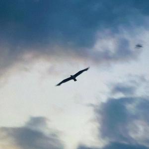 Returning (Instrumental)