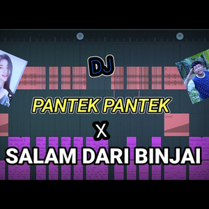 DJ PANTEK PANTEK X SALAM DARI BINJAI FULL BASS TIK TOK VIRAL