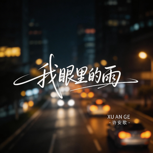 我眼里的雨（飙升版）