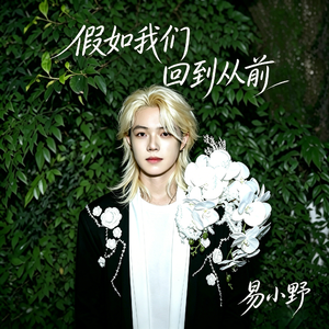 假如我们回到从前