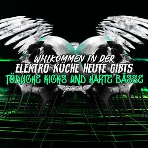 Willkommen in der Elektro Küche heute gibt's tödliche Kicks und Harte Bässe!