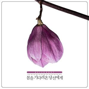 마음을 흐르는 강