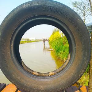 春天的诺言 （李新勇词徐东曲徐大刚演唱）