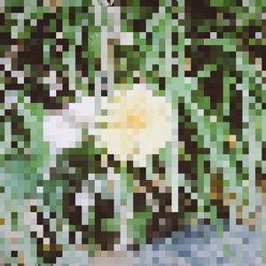 诡梦 Weird Nightmare