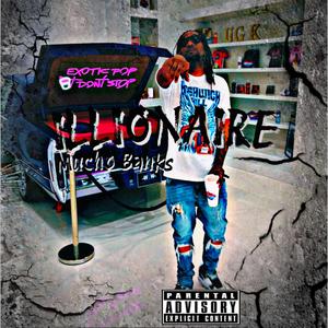 ILLIONAIRE (Zillionaire Remix)