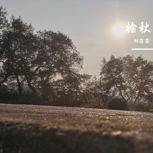 拾秋