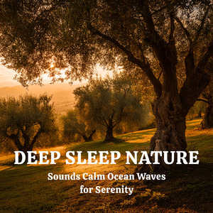 超熟睡ギターメディテーション 癒しの音楽・眠れる曲 リラックスと安眠のための睡眠導入音楽 (自律神経を整える睡眠用 森 鳥)