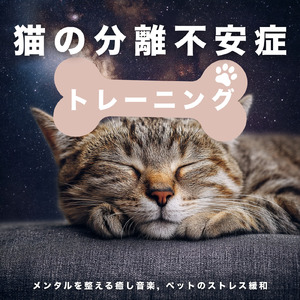 Deep Sleep Starlit Nightfall