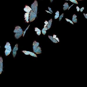 怎么说我不爱你