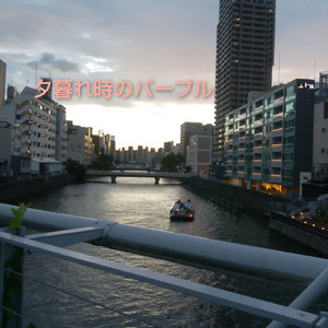 夕暮れ時のパープル