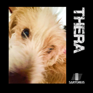 Thera