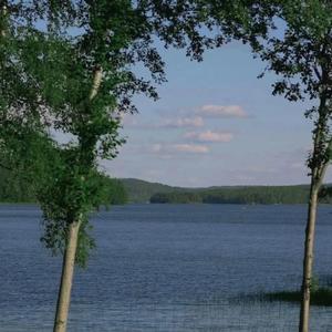 病因（翻自：yihuik苡慧 ）