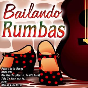 Cachivache (Bonito, Bonito Eres)