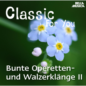 Polka, Op. 235: Piefke und Pufke