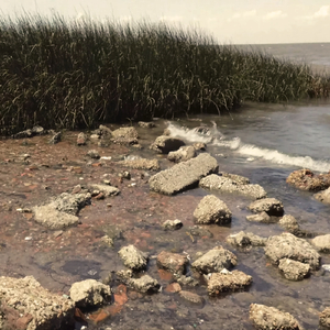 la sangre corre por mi piel