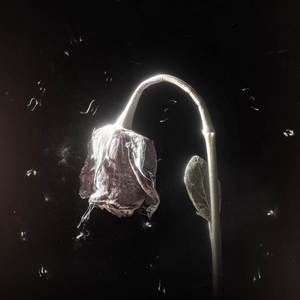 Bende Saftım Napim İnandım