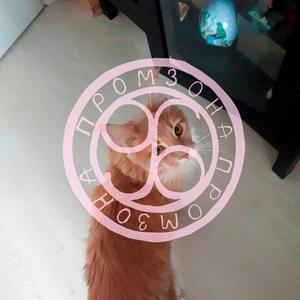 Подвал (Fat Mix)