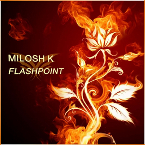 Flashpoint (Original Mix)
