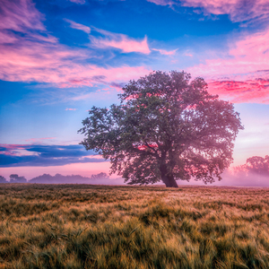 治愈系旋律 (经典钢琴曲)