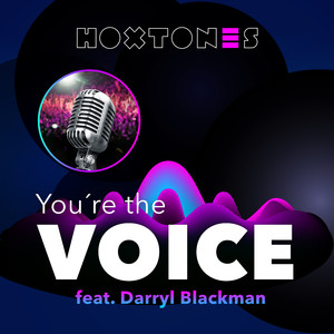 You're the Voice (Hoxtones & Dfe Radio Mix)