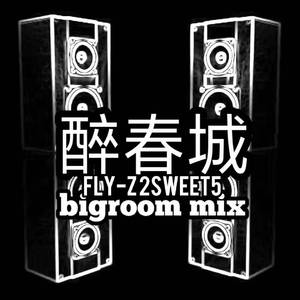 FLY-Z 2SWEET5 醉春城(BIGROOM MIX)