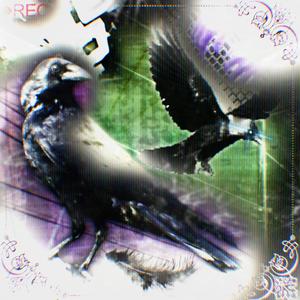 GOVERNMENT_STATISTIC_EXPERIMENT_