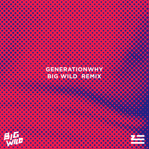 Generationwhy (Big Wild Remix)