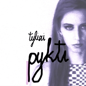 Tyliai pykti Remix