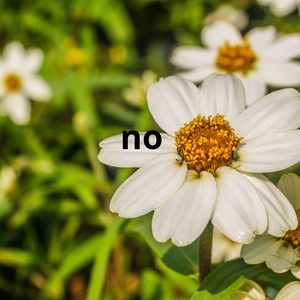 no