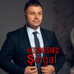 Şingal