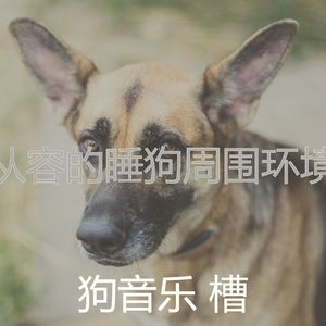 一尘不染训练犬印象数