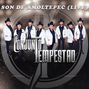 Son De Amoltepec (Live)