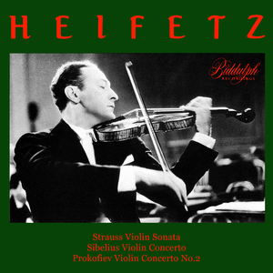 Violin Concerto No. 2 in G Minor, Op. 63: I. Allegro moderato