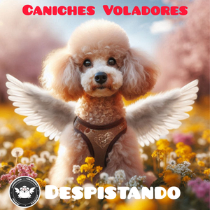 La Pachanga (En Vivo)