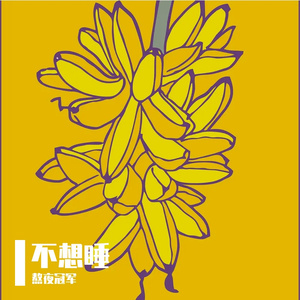 不想睡（Mai 玩具盒bonus）