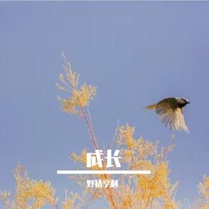 光影交错的梦境